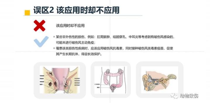 小小伤口不注意为何可致命？