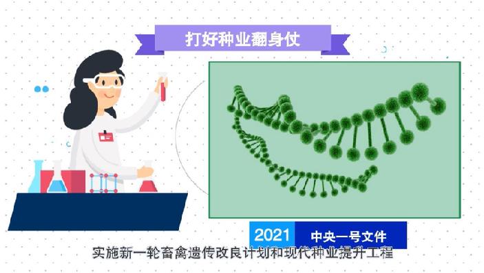 全面乡村振兴总动员！动画解读2021中央一号文件