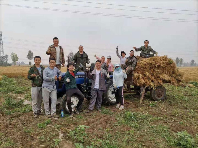 你在种小麦吗？不，我在进行一场修行