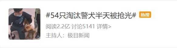 技术要够硬、性格要中庸——警犬：我太难了