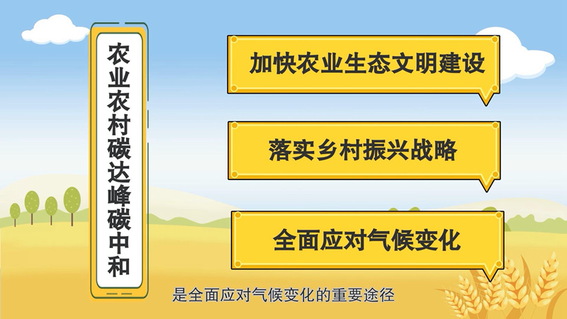 划重点！农业农村领域“碳达峰 碳中和”这样做