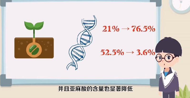 【动画】基因工程如何培育高油酸大豆？