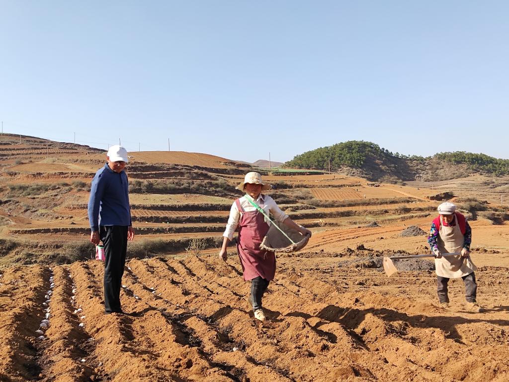 一年之计在于春丨乌蒙山区春耕新景：马铃薯基地来了位“科学家”