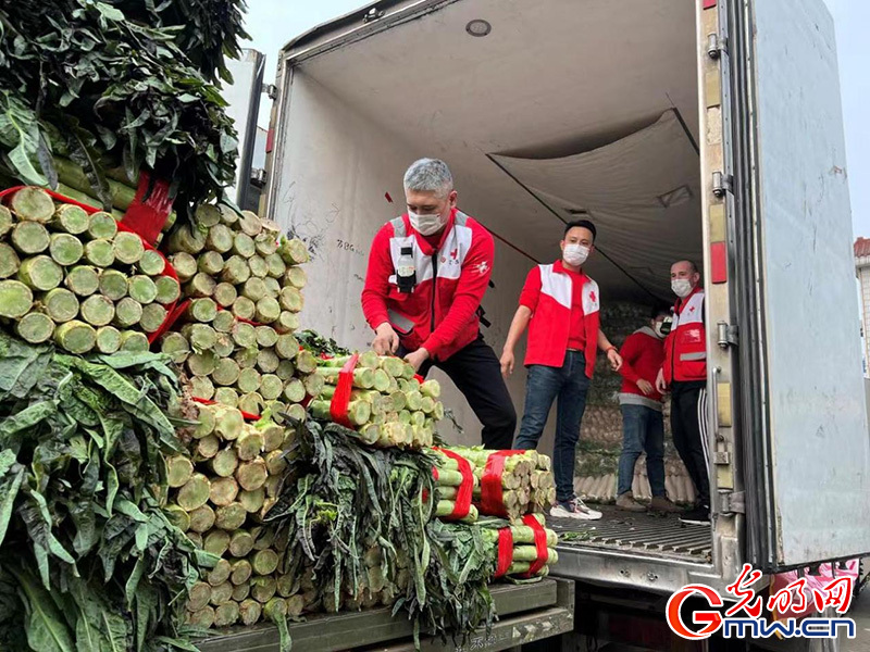 一起守“沪”|再出发！又一批爱心蔬菜驰援上海