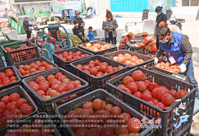 一起守“沪”|安徽淮南：爱心蔬菜“大礼包”驰援上海