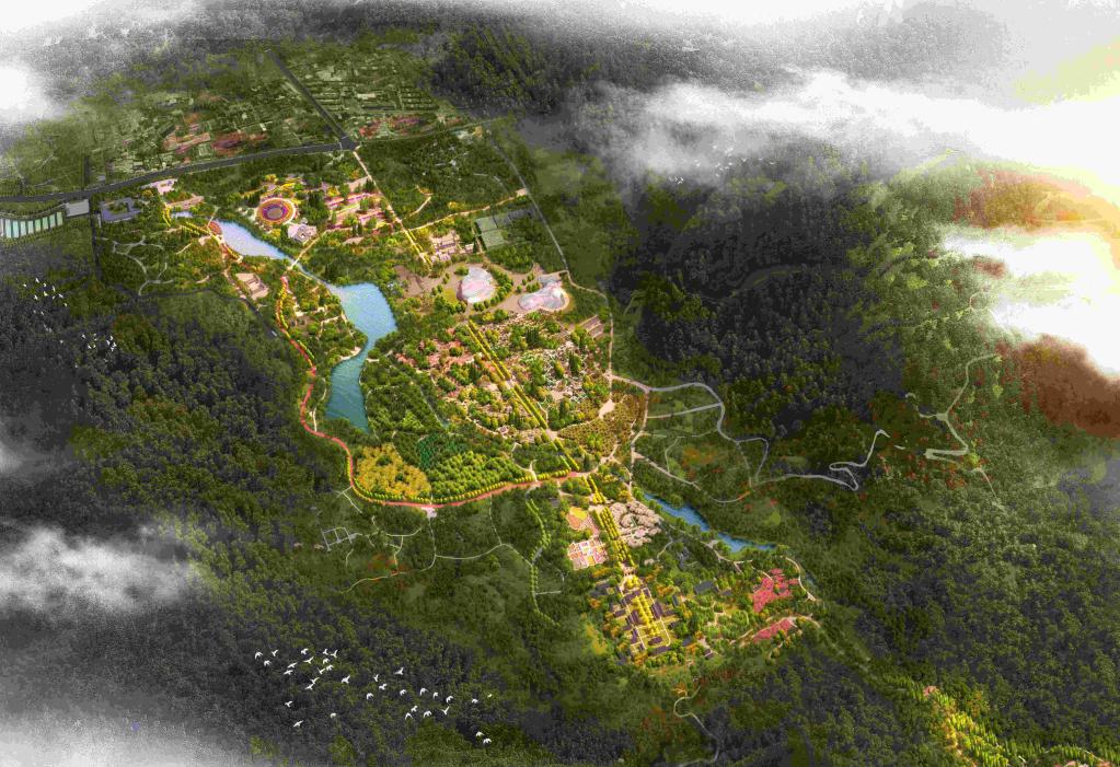 新华全媒+丨植物魅力知多少？“满月”不久的它，大有乾坤