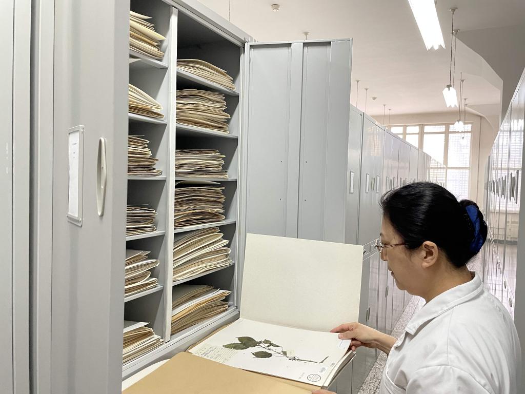 新华全媒+丨植物魅力知多少？“满月”不久的它，大有乾坤