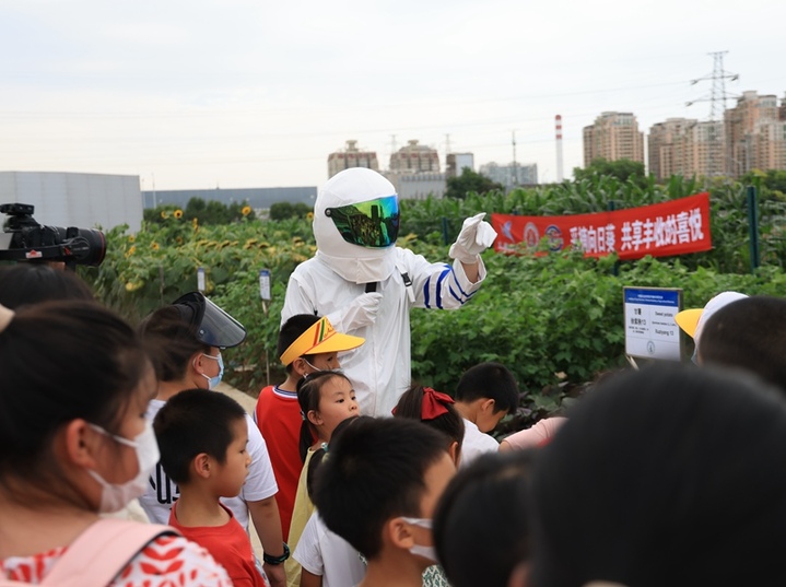 与小朋友共享丰收喜悦 农科院试验田举办科普活动