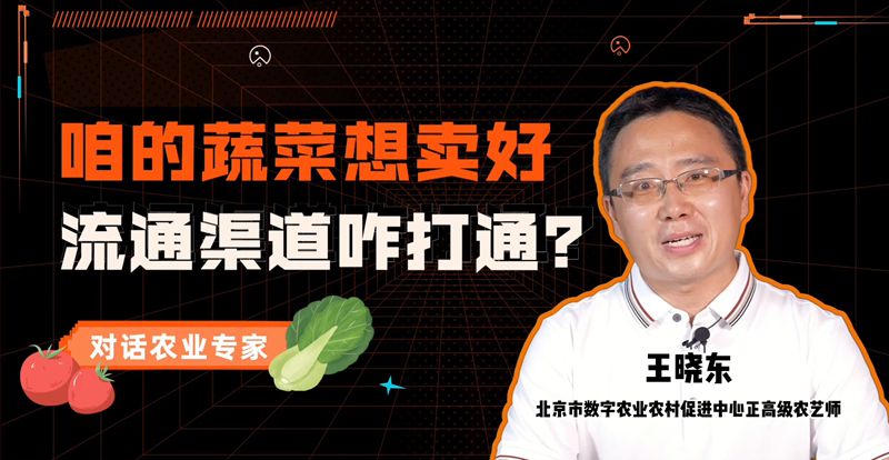 【智农小课堂】咱的蔬菜想卖好，流通渠道咋打通？（上）