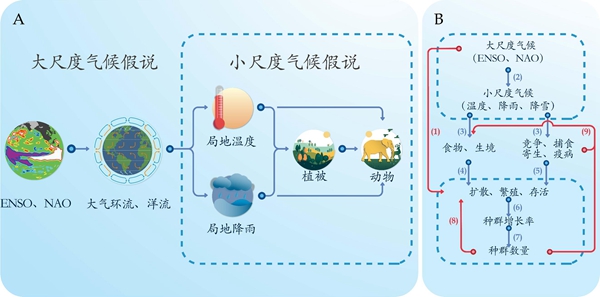 动物所合作团队明确大尺度气候对动物种群动态具有广泛影响