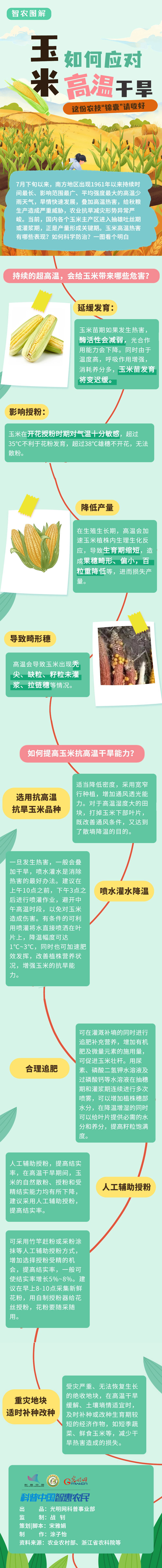 科普图解 | 玉米如何应对高温干旱？这份农技“锦囊”请收好