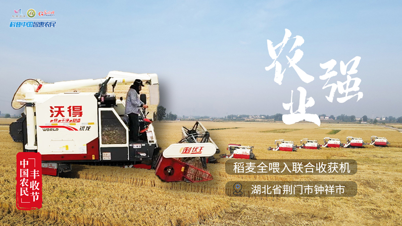 庆丰收 迎盛会｜最强农机收获忙，“黑科技”点亮黄土地
