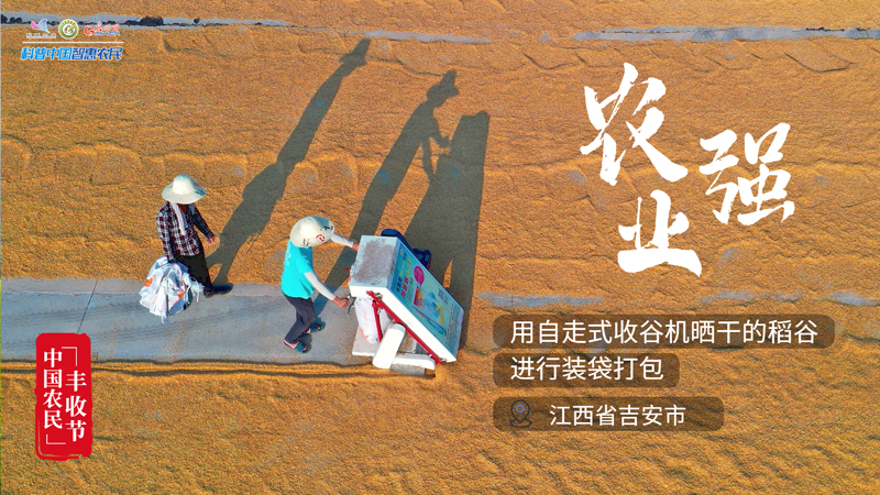 庆丰收 迎盛会｜最强农机收获忙，“黑科技”点亮黄土地