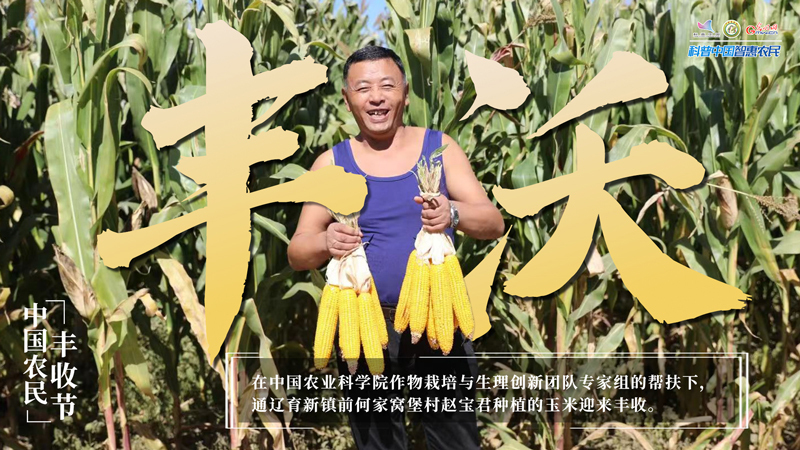 庆丰收 迎盛会｜假如丰收有表情，那一定是他们的样子