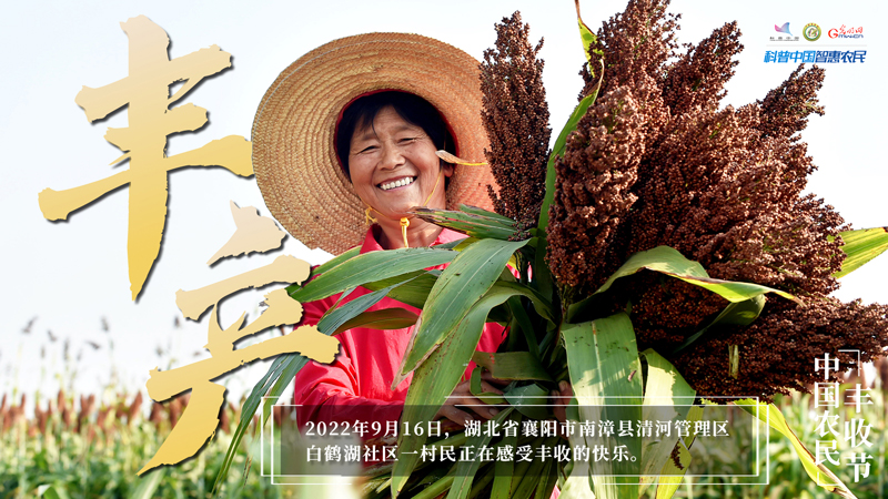 庆丰收 迎盛会｜假如丰收有表情，那一定是他们的样子