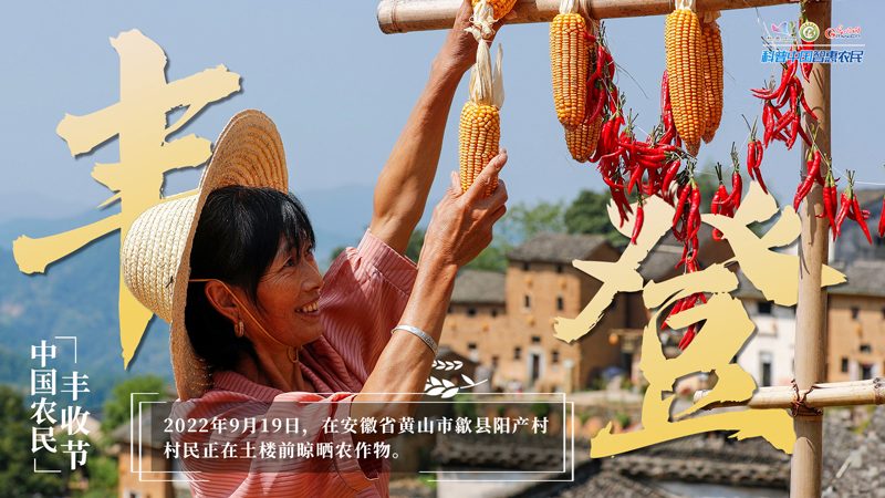 庆丰收 迎盛会｜假如丰收有表情，那一定是他们的样子