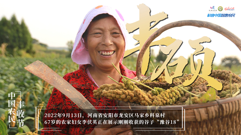 庆丰收 迎盛会｜假如丰收有表情，那一定是他们的样子