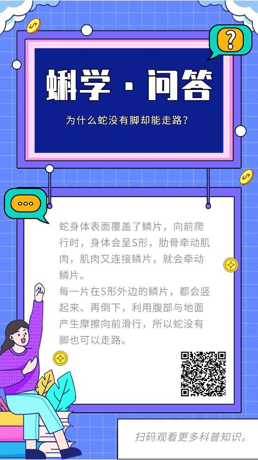 为什么蛇没有脚却能走路？丨蝌学问答