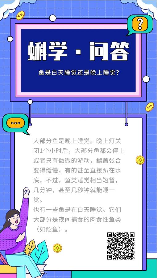 鱼是白天睡觉还是晚上睡觉？丨蝌学问答