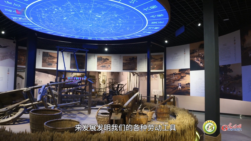 【新农人致富路】让孩子在“大地课堂”读懂农业知识