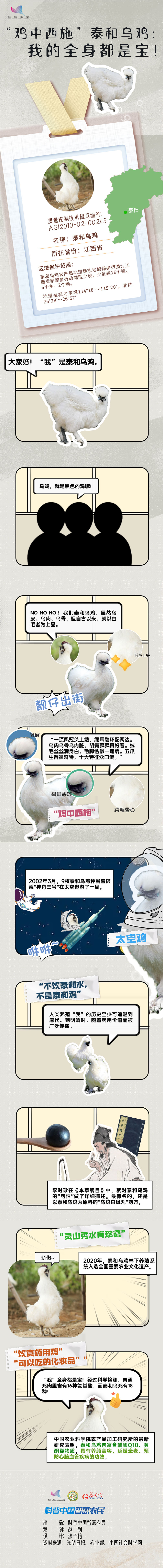 【科普漫画】“鸡中西施”泰和乌鸡：我的全身都是宝！