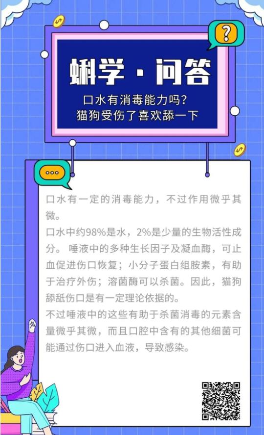 口水有消毒能力吗？猫狗受伤了喜欢舔一下丨蝌学问答