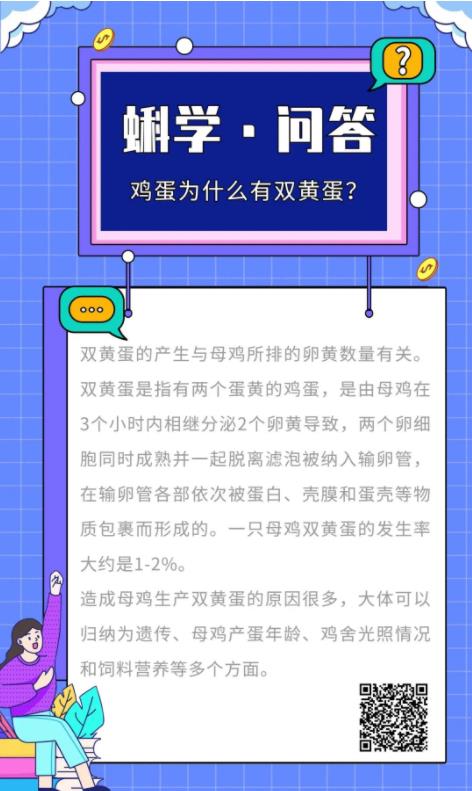 鸡蛋为什么有双黄蛋？丨蝌学问答