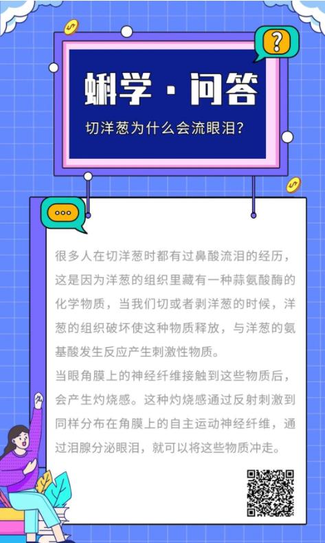 切洋葱为什么会流眼泪？丨蝌学问答