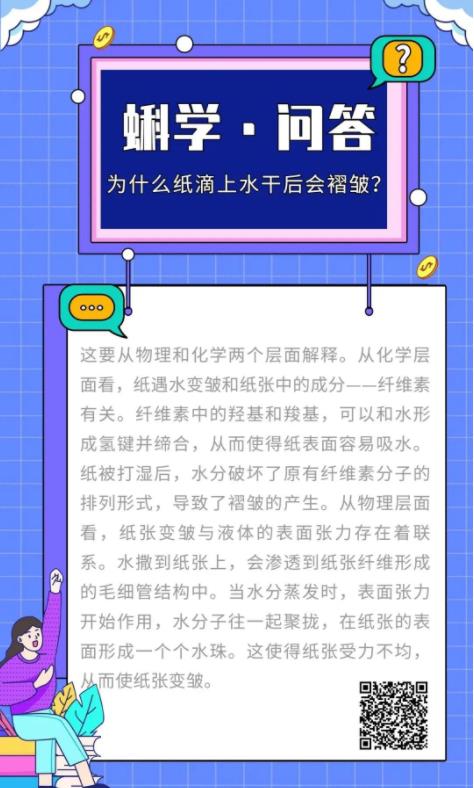 为什么纸滴上水干后会褶皱？丨蝌学问答