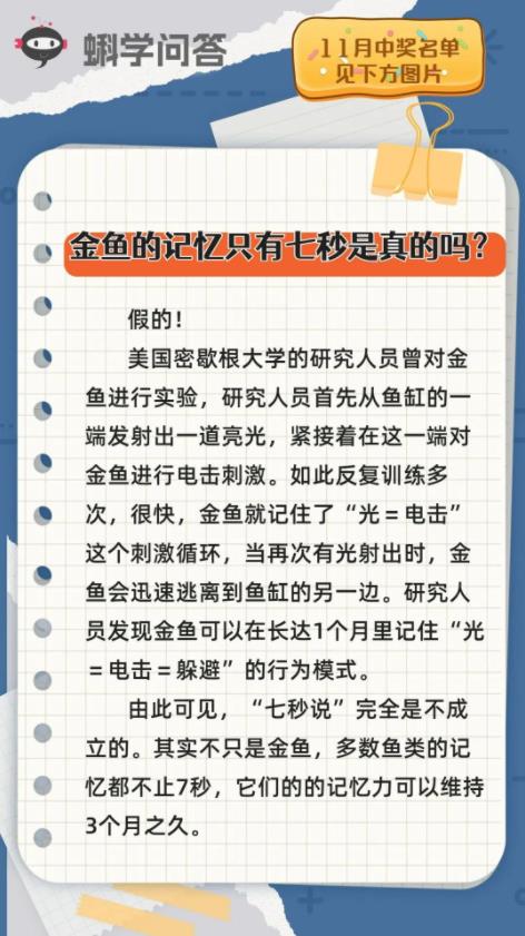 金鱼的记忆只有七秒是真的吗？丨蝌学问答