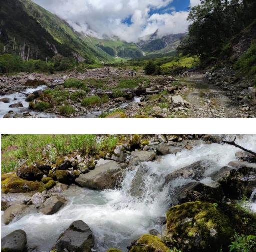 桑谷沟深乱石险，巧拓树芯治山滑——记北京林业大学马超团队扎墨公路泥石流考察