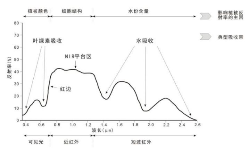 如何使用无人机给不同田块作物定制“营养餐”？