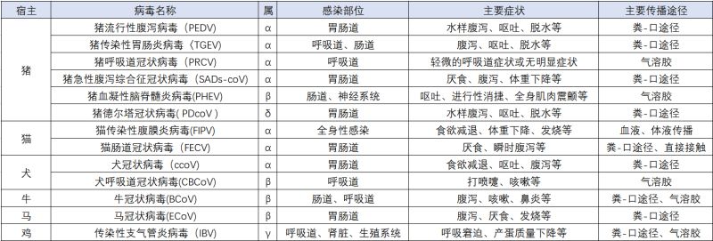 人与动物的共同“敌人”：“冠状病毒”是什么？