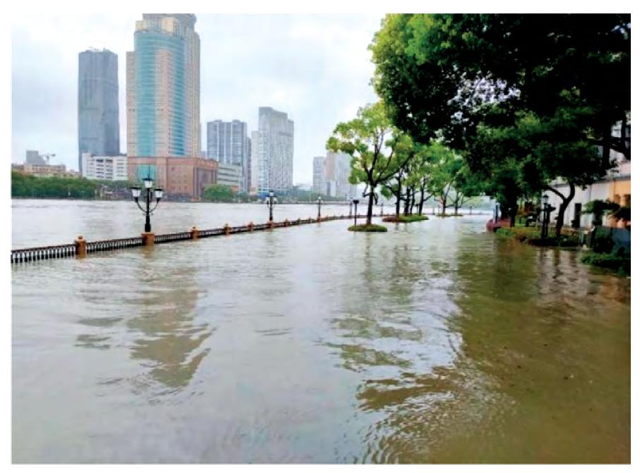 如果《流浪地球》中海平面上升成为现实，人类可以逆转吗？