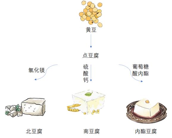 豆类营养大PK 哪个“爱豆”会脱颖而出？