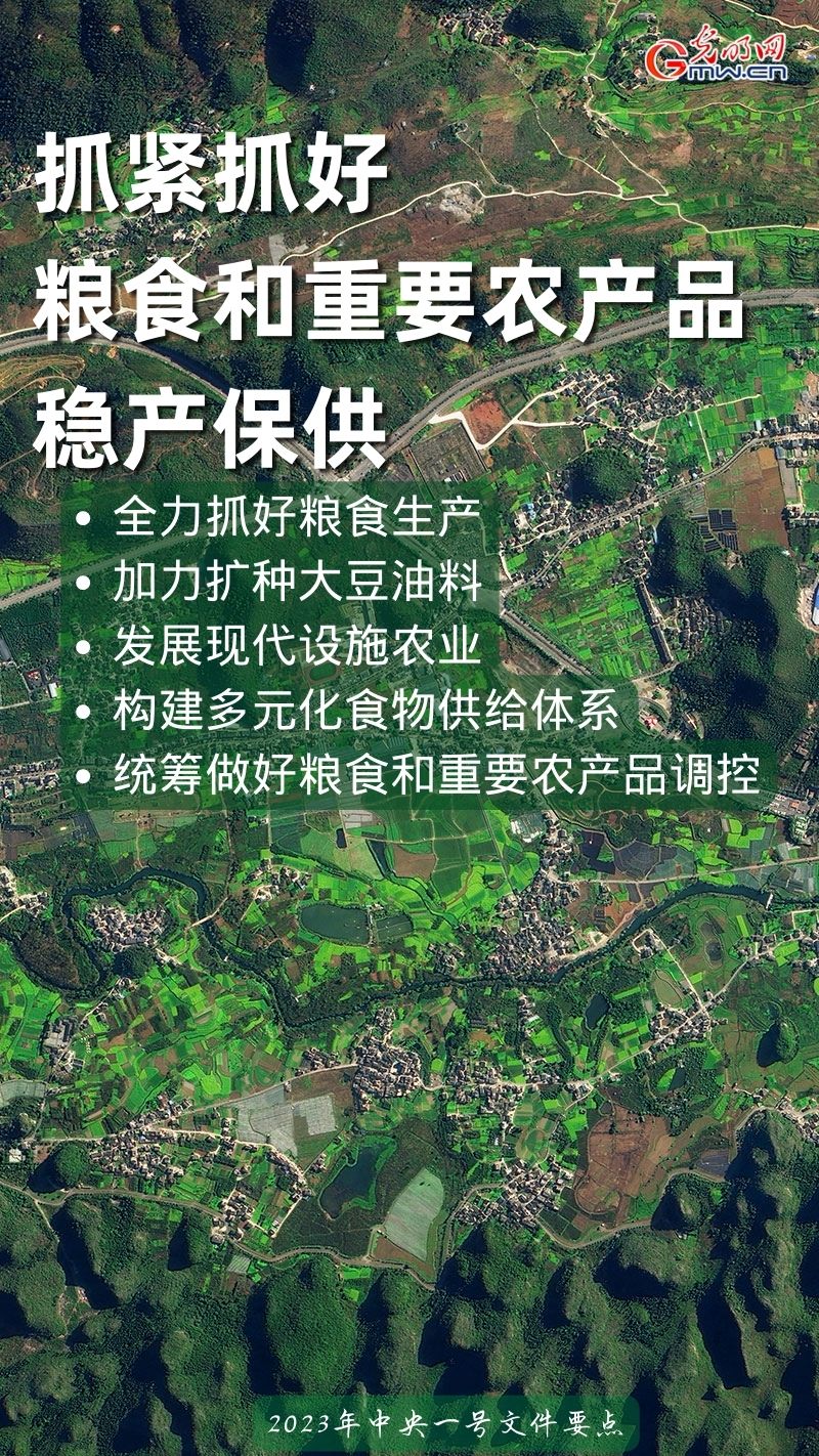 全面推进乡村振兴丨一组海报带你看2023年中央一号文件重点工作