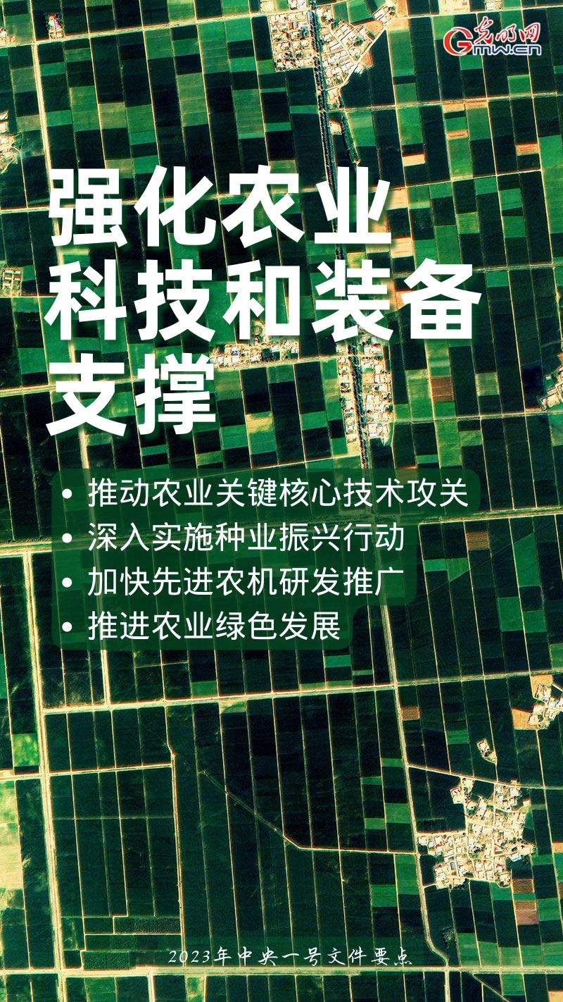 全面推进乡村振兴丨一组海报带你看2023年中央一号文件重点工作