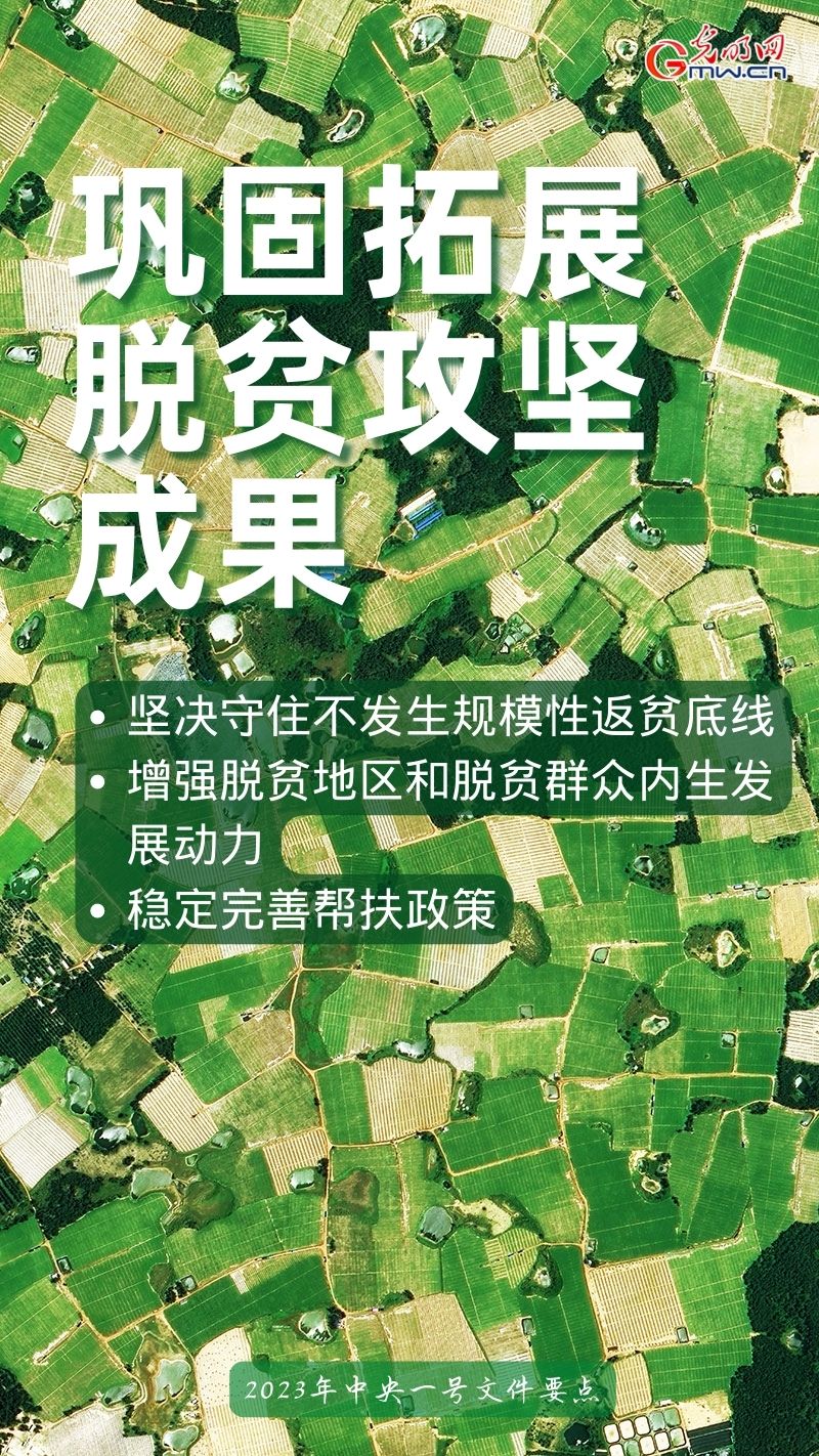 全面推进乡村振兴丨一组海报带你看2023年中央一号文件重点工作