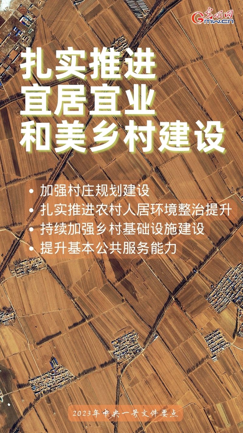 全面推进乡村振兴丨一组海报带你看2023年中央一号文件重点工作