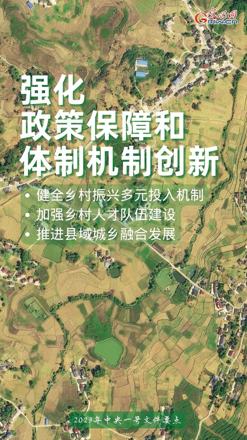 全面推进乡村振兴丨一组海报带你看2023年中央一号文件重点工作