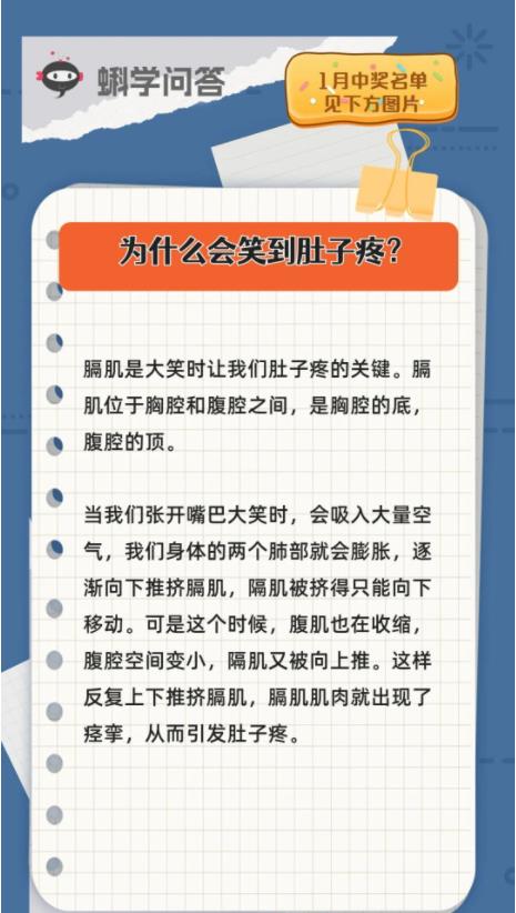 蝌学问答 | 为什么会笑到肚子疼？