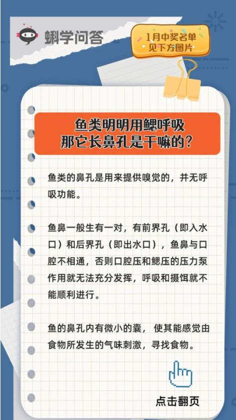 蝌学问答 | 鱼类明明用鳃呼吸，那它长鼻孔是干嘛的？