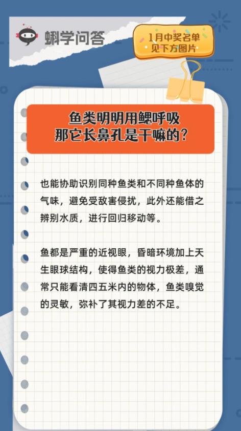 蝌学问答 | 鱼类明明用鳃呼吸，那它长鼻孔是干嘛的？