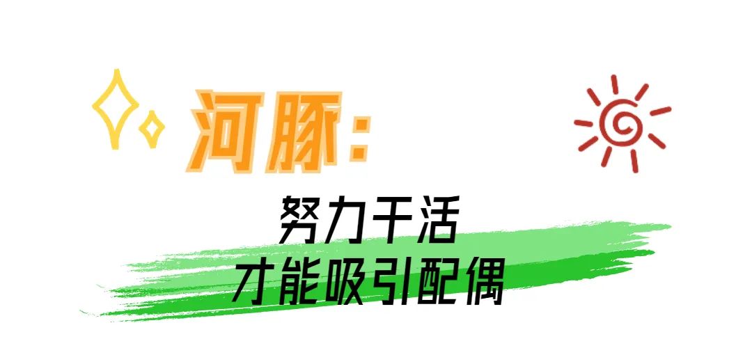 动物界奇葩求偶行为大赏 哪个突破了你的想象力？