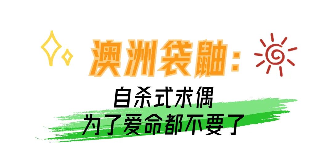 动物界奇葩求偶行为大赏 哪个突破了你的想象力？