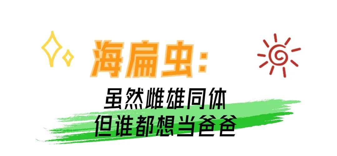 动物界奇葩求偶行为大赏 哪个突破了你的想象力？