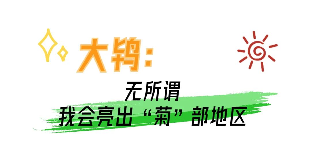 动物界奇葩求偶行为大赏 哪个突破了你的想象力？