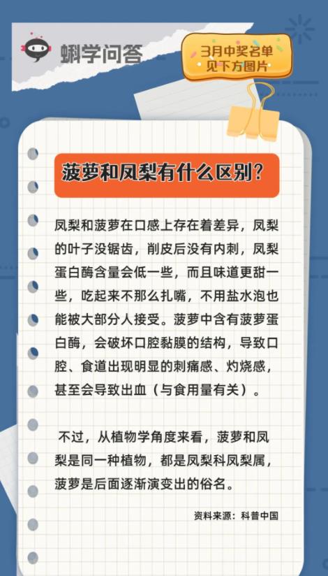 蝌学问答 | 菠萝和凤梨有什么区别？