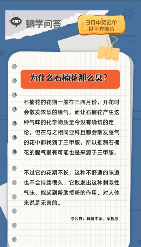 蝌学问答 | 为什么石楠花那么臭？