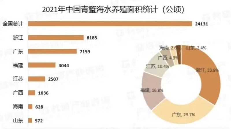 擅长“挖洞”的小螃蟹——拟穴青蟹